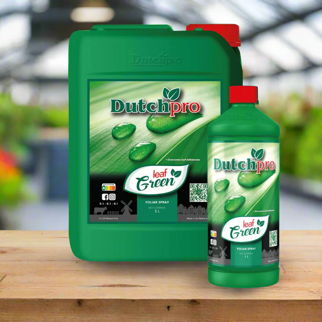 Dutchpro Leaf Green - Image 4