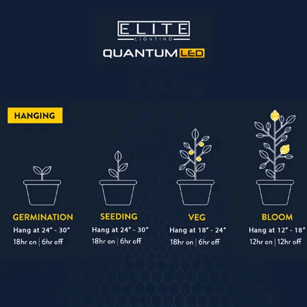 Elite Quantum EQ2000 LED Panels 240w - Image 4