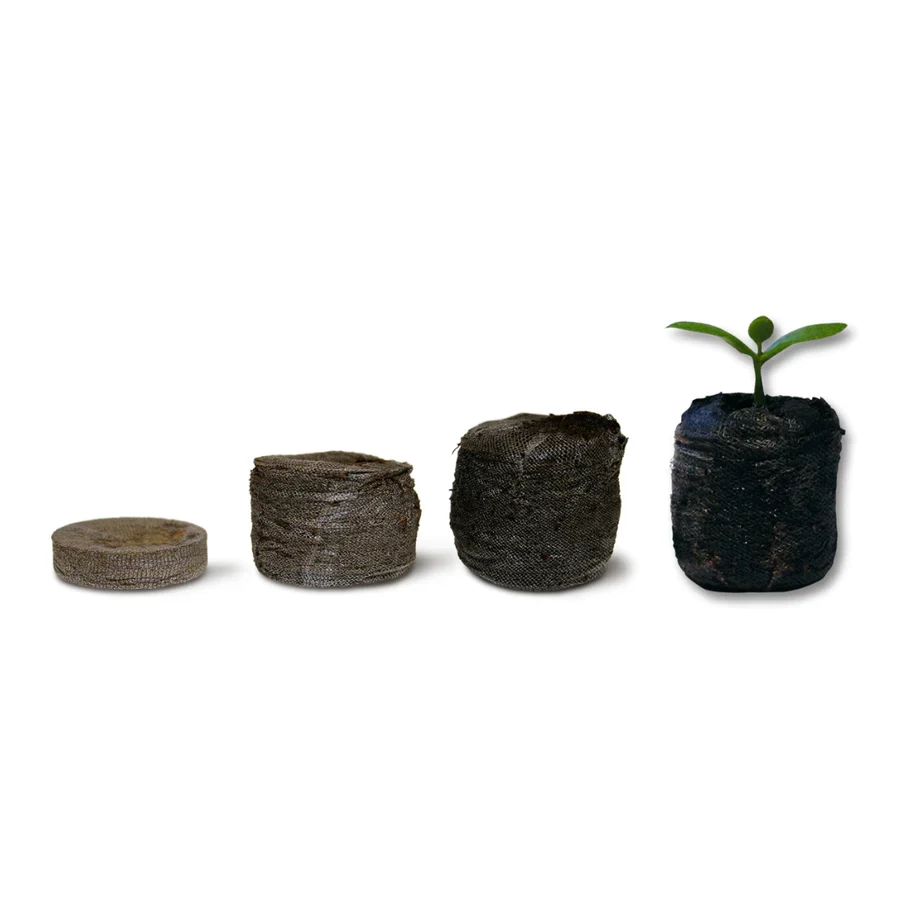 Jiffy-7 Coco Plugs