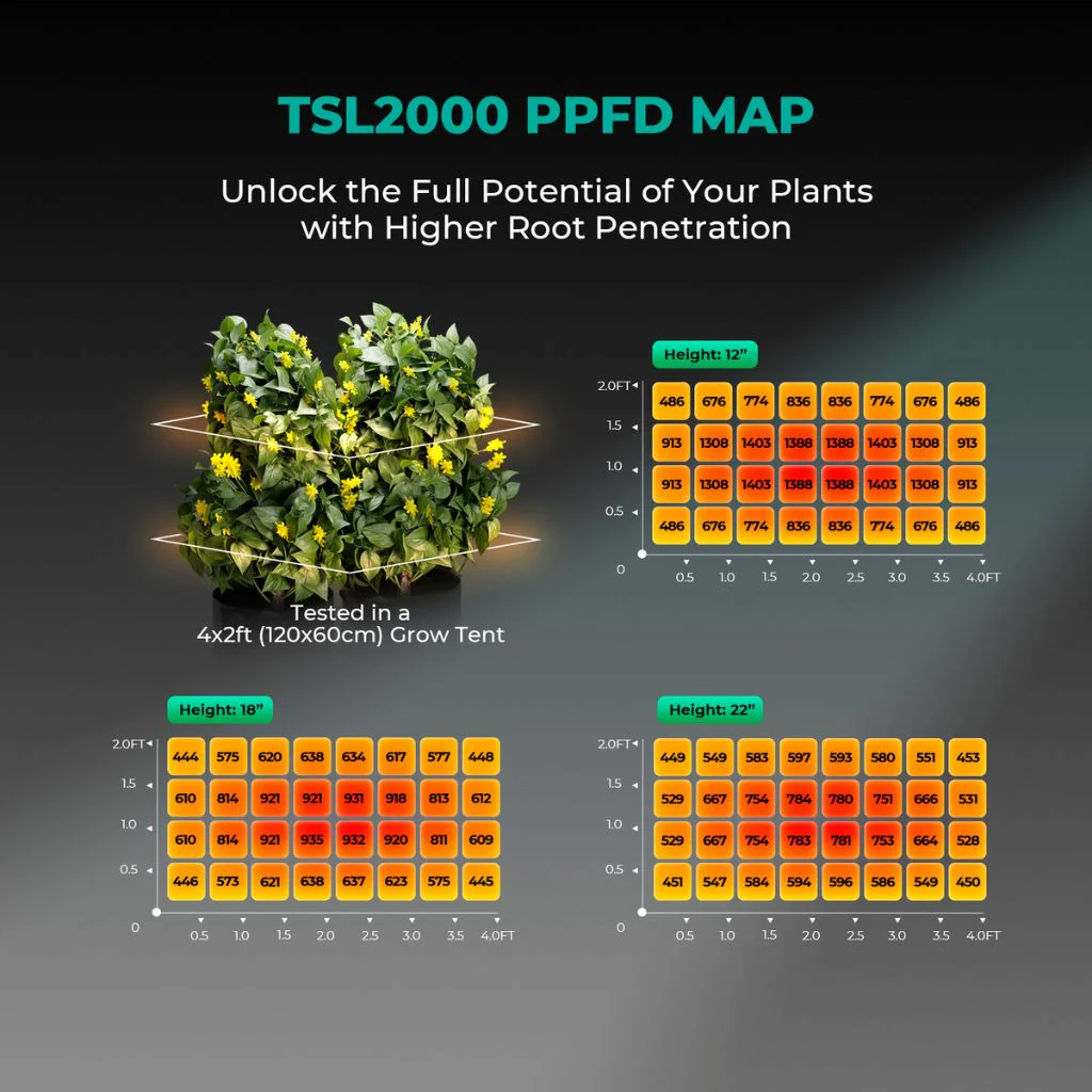 Mars Hydro TSL-2000 300w LED Grow Light - Image 3