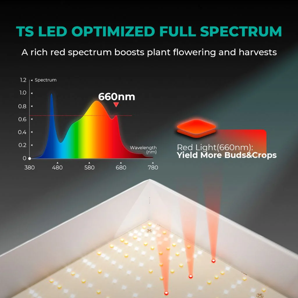 Mars Hydro TSL-2000 300w LED Grow Light - Image 4