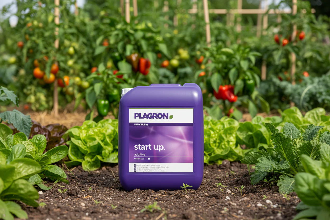 Plagron Start Up - Image 6
