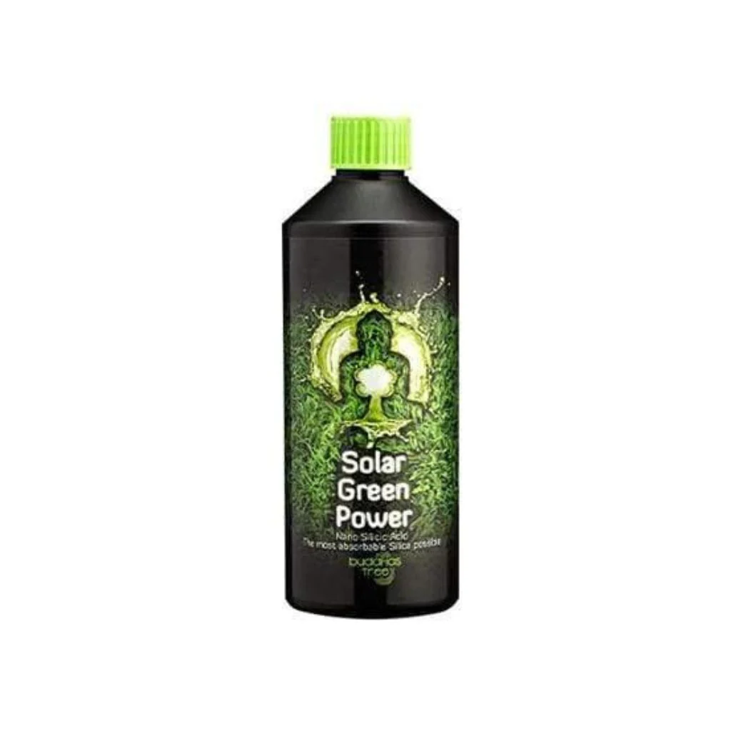 Buddhas Tree Solar Green Power - Image 3